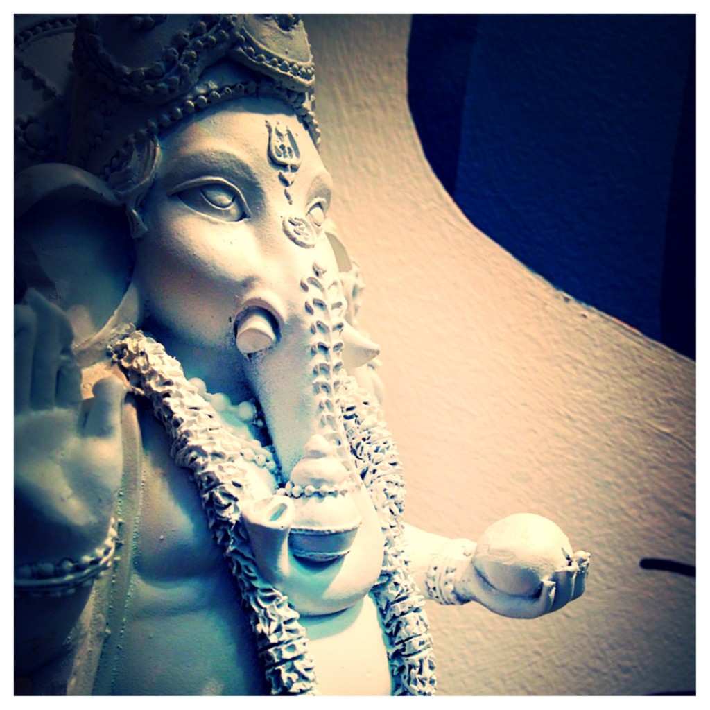 Blue Lotus