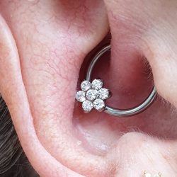 titanium ring with cz flower in daith piercing