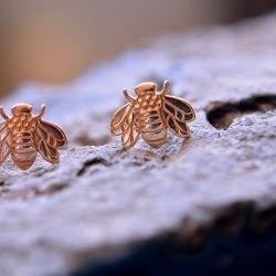 Two Bee attachments on a rock