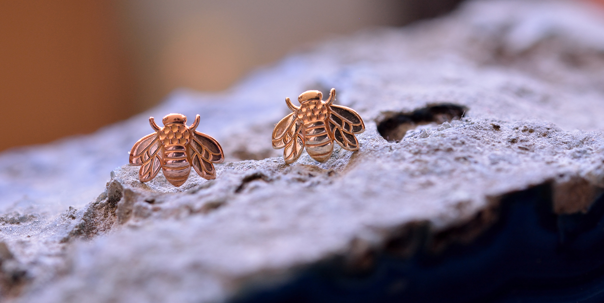 Two Bee attachments on a rock