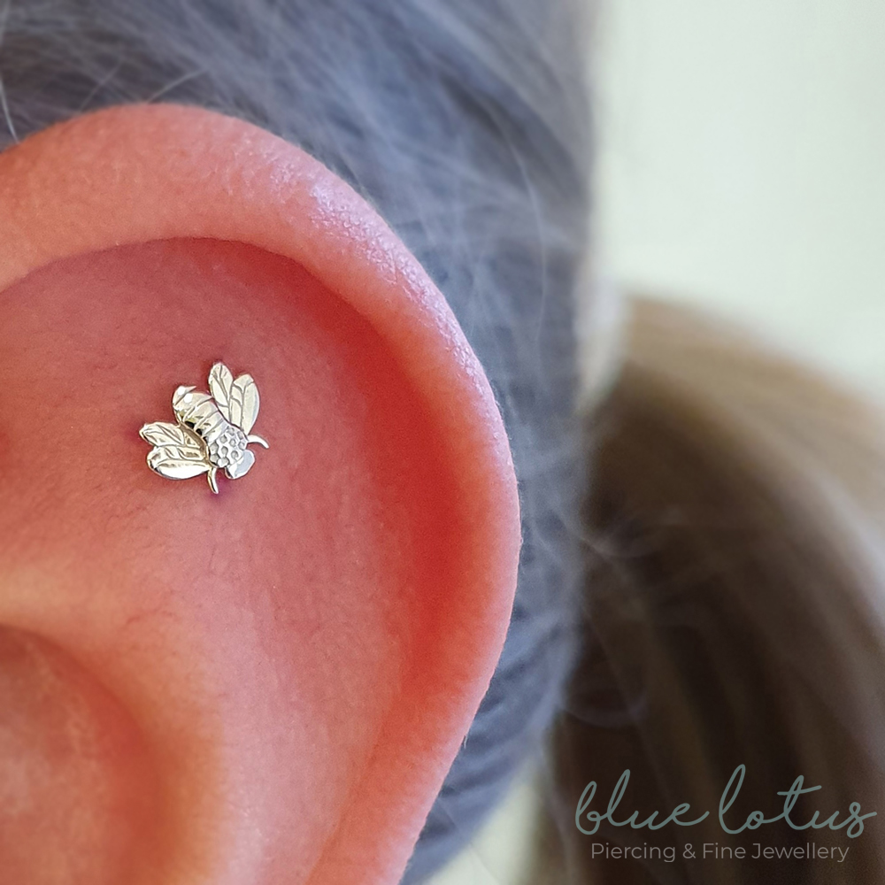 a flat gold bee shaped piece of jewellery in a helix piercing from Bodygems