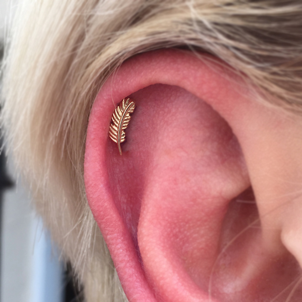 A helix piercing on a person with blonde hair, they are wearing a feather shaped piece of jewellery from a company called BVLA