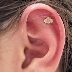 a flat gold bee shaped piece of jewellery in a helix piercing from Bodygems
