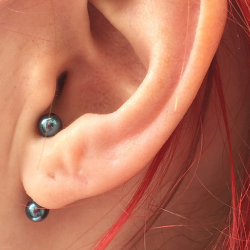 a vertical lobe piercing with Anatometal anodized blue jewellery