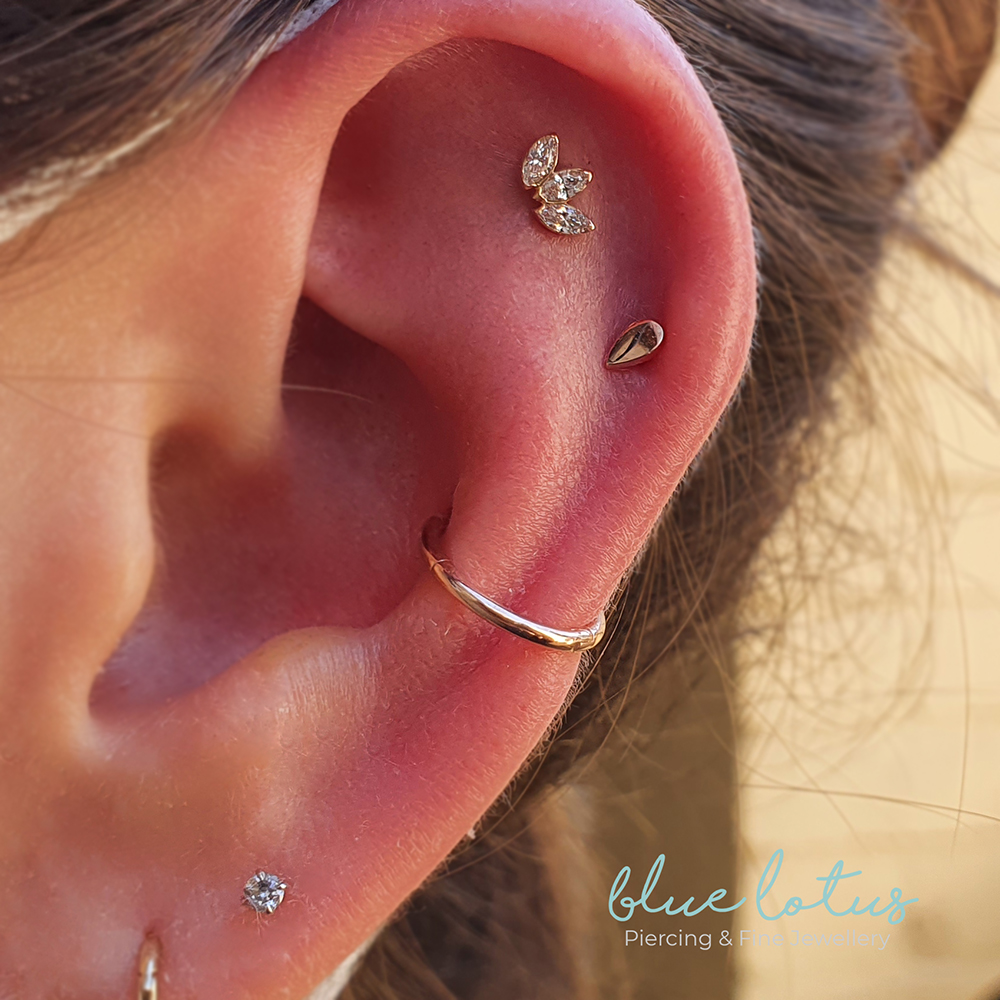 the flat of an ear thats been pierced with a three gem Marquise attachment from Anatometal as well as a tear drop shaped gold end from a company called Mushroom. there is also a segment ring wrapping round a healed conch piercing. the studio logo is at the bottom right