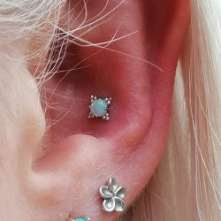 two clients own lobe pieces with a conch piercing wearing a white opal in a white gold zia end from Anatometal