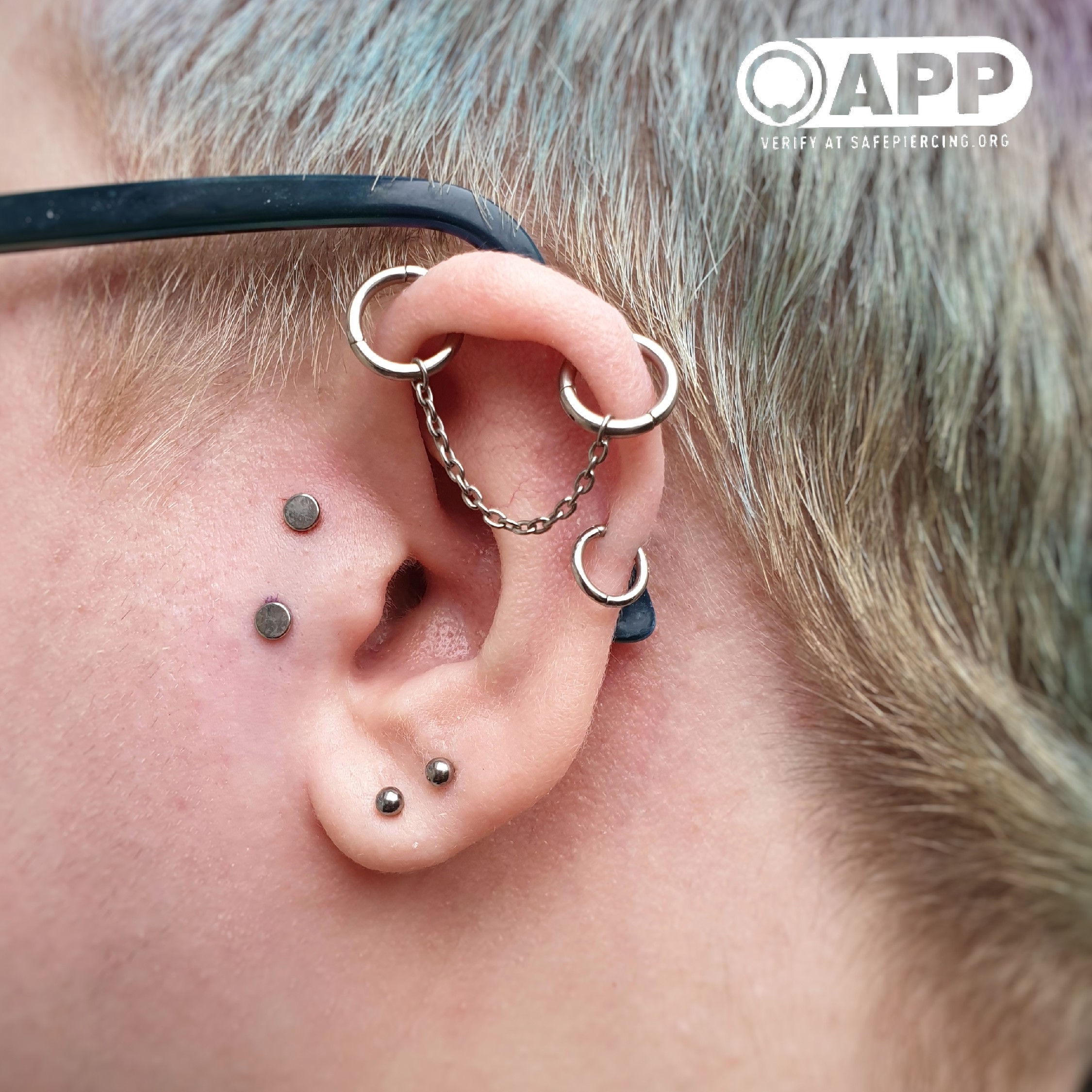 An interesting collection of left ear piercings. Two rings are where an industrial piercing would be they are joined across the ear with a chain. Then two disks in front of the tragus demonstrate a surface piercing. In the lobe is two plain balls