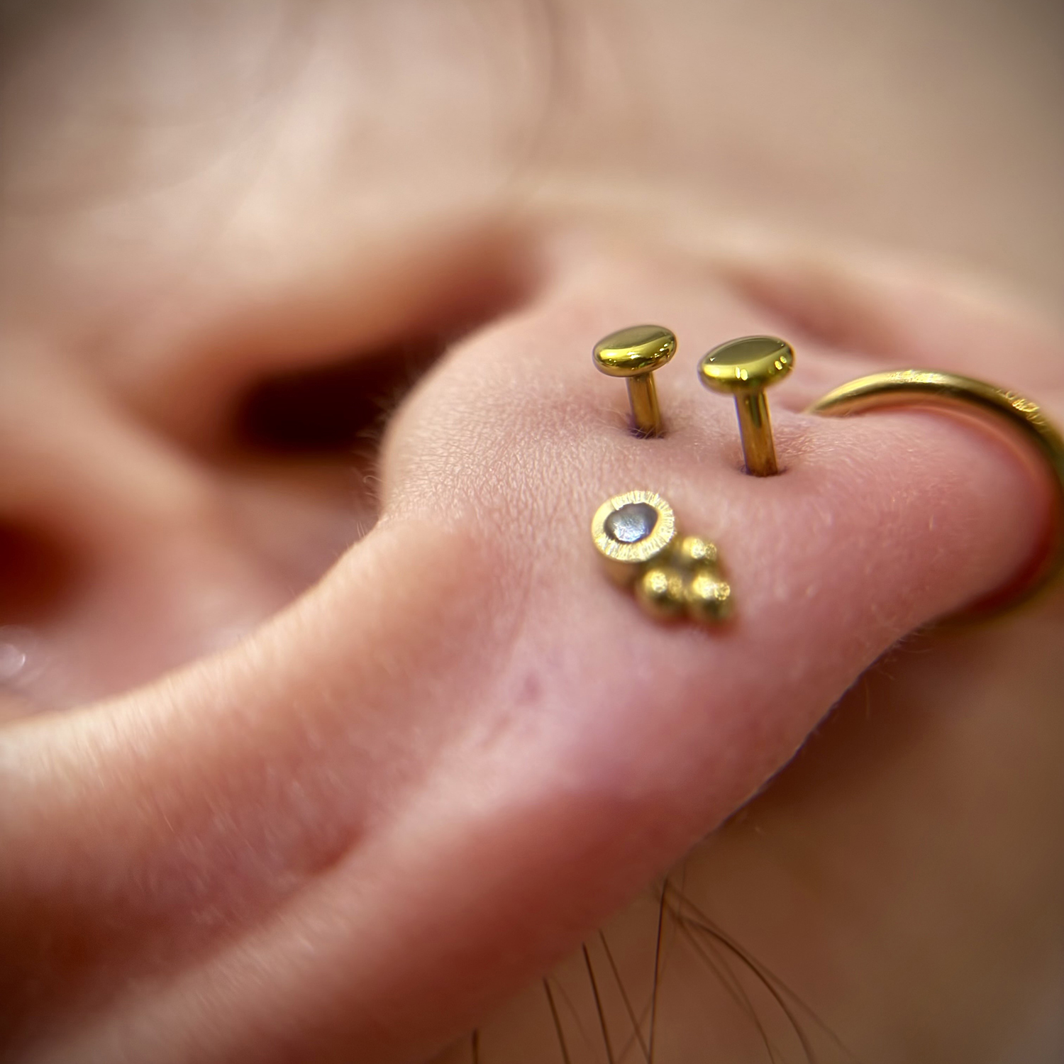 Disc - Titanium - Image 6