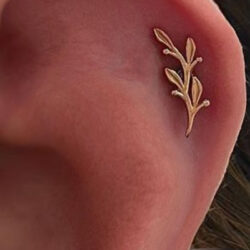 The Amnity piece from BVLA in a helix on the left ear