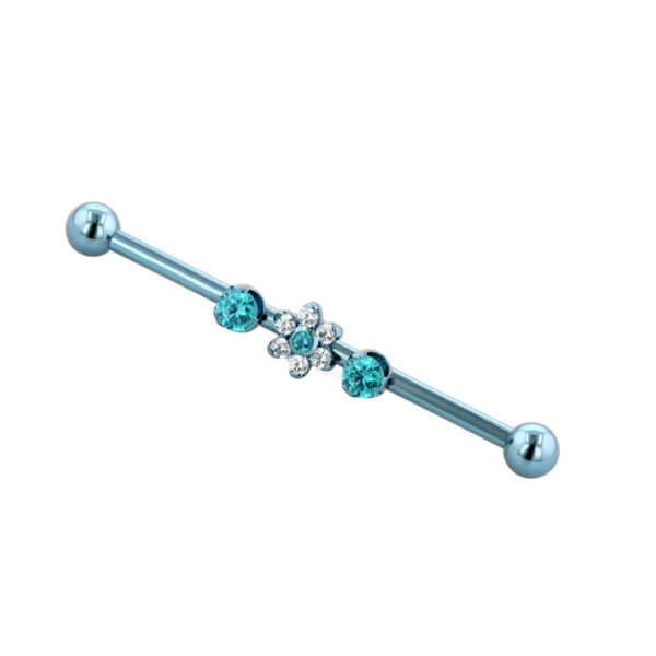 Industrial Barbell with central holes - Titanium - Image 2
