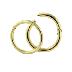 two rings overcrossing one has a piece hinged open to demonstrate the workings