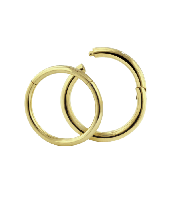 two rings overcrossing one has a piece hinged open to demonstrate the workings