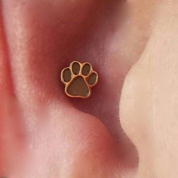 The Pawprint piece from BVLA in a conch on the right ear