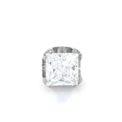 Princess Cut Prong- Titanium