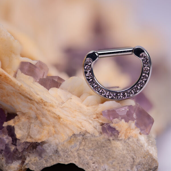 Hinge ring - Titanium - Image 2