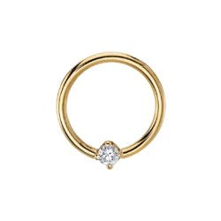 Fixed 2mm Prong Seam Ring - 14k Gold