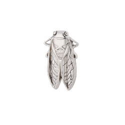 Cicada - 14k Gold