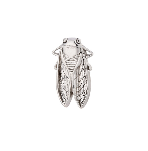 Cicada - 14k Gold
