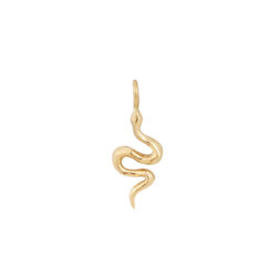 Serpent Charm - 14k Gold