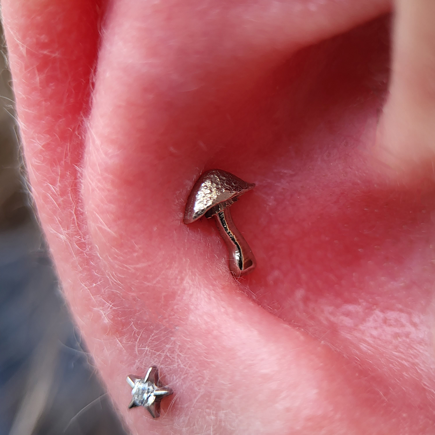 Fun Guy Mushroom - 18k Gold - threaded - Image 2