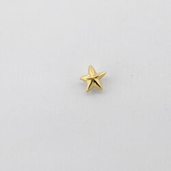 Sea Star - 14k Gold